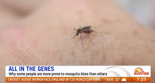 40K views · 69 reactions | Have you ever wondered why some people are more prone to mosquito bites than others? 樂 | Sunrise | Facebook