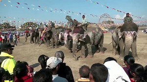 They’re all stunning, but only one can take home the prize. For the first time since the Covid pandemic, animal lovers gathered to watch elephants battle it out during the ‘Hatti Mahotsav’ event at the Chitwan Elephant Festival in Nepal. | Inside Edition