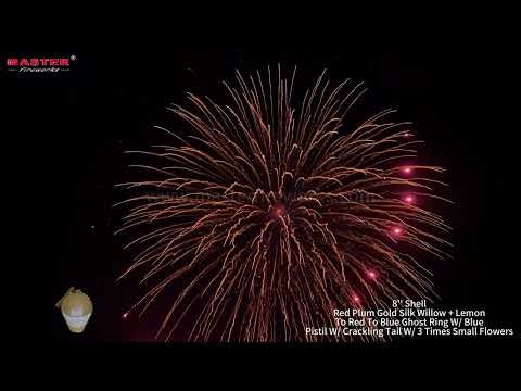 8‘’ Shell #fireworks