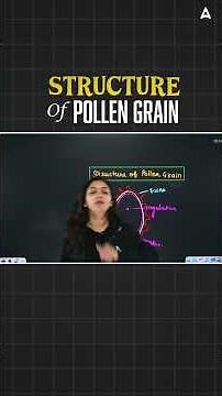 Pollen Grain Diagram in 1 Minute | NEET 2026 & NCERT | Shivani Ma'am