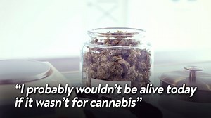 3K views · 213 reactions | Colorado Adds PTSD To Qualifying Conditions For Medical Marijuana - PTSD approved in Colorado, read this https://cannabis.net/blog/news/colorado-to-add-ptsd-as-qualifying-condition-for-medical-marijuana | Cannabis.Net | Facebook