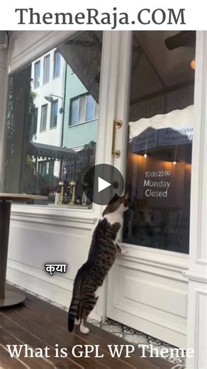 WordPress GPL License Explained: Freedom to Use, Modify, and Redistribute | Theme Raja posted on the topic | LinkedIn