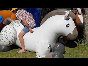 Puffypaws Belgian Drafthorse Ride & Deflate