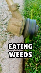 Let’s see how the string trimmer does… #Edging #StringTrimmer #Lawncare #LawnDad #StayGreen | PharmDad