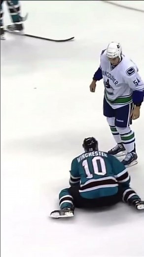 NHL ONE PUNCH FIGHTS