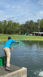 What forage makes bass grow fastest? Kyle, one of our freshwater fisheries biologists, is leading a special research project at our Florida Bass Conservation Center. He is comparing different forage (food) species to learn more about the growth rate potential of bass. Stay tuned for part 2!#Florida #Bass #FWC #Fisheries | MyFWC Florida Fish and Wildlife