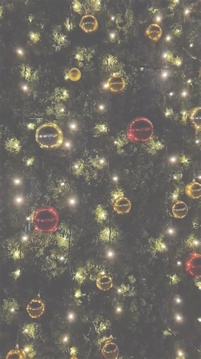 Holiday Safety Reminder 🎄⚡ As families decorate the exteriors of their homes, we encourage everyone to keep lights, ladders and inflatable displays far from power lines and nearby trees. A few simple precautions can prevent accidents and ensure your holiday season shines bright. | Asplundh Tree Expert, LLC