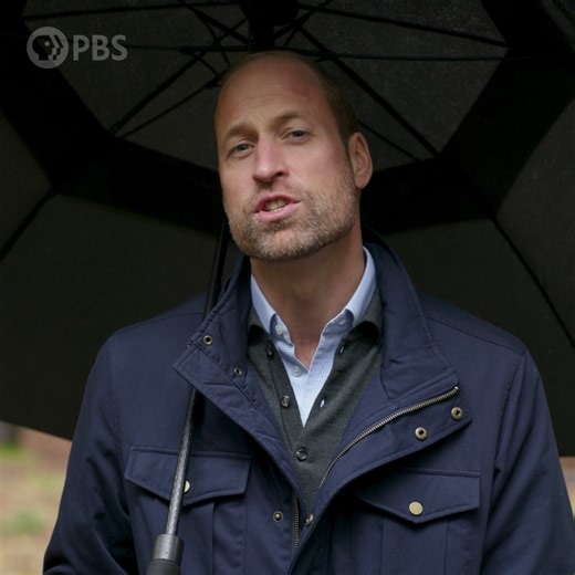 40K views · 777 reactions | Discover what’s been done around the world this year to protect and restore our planet.  Introduced by HRH Prince William and hosted by Hannah Waddingham, The Earthshot Report premieres tonight at 8/7c. | PBS | Facebook