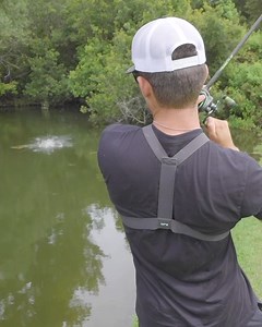 55K views · 1.6K reactions | This Fish Exploded on the Topwater Frog! | Kickin Their Bass TV | Facebook