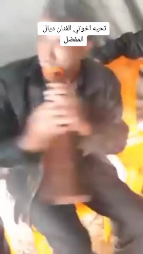 Musical Gathering of Men Playing Traditional Instruments