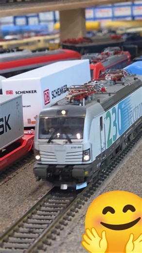Modelleisenbahn H0 Trainspotting Roco Märklin Evemodel #moba #modelrailroad #h0scale #shorts #dcc