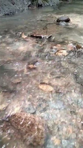 10. The sound of water splashing on red rocks #asmr #nature #naturesounds