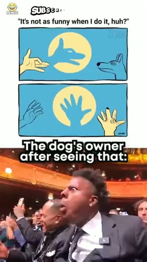 “Dog Owner Was NOT Ready 💀😂”