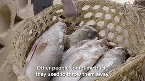 808K views · 10K reactions | Warning: Graphic Content How Chinese...