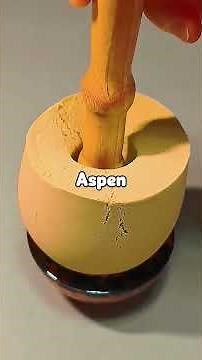 My girlfriend laughed. “Please, as if anyone else loved you.” During a fight over her...