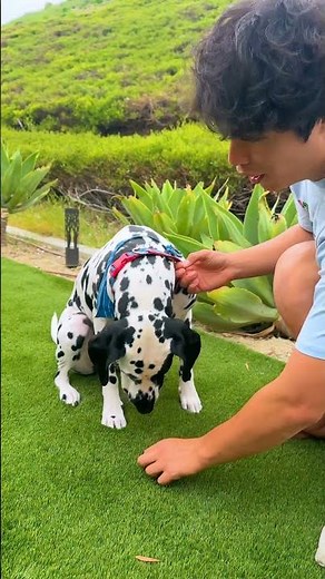 Busting The World’s WEIRDEST MYTH!