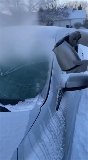 The windshield cracked #funny #mem #humor