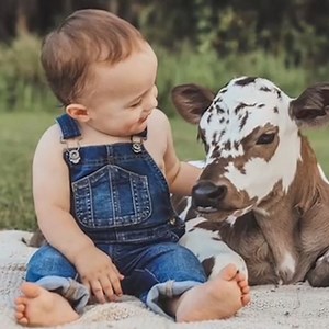 This photographer took her shoots up a gear by including mini cows - these are moo cute 🐮😍 | Tyla