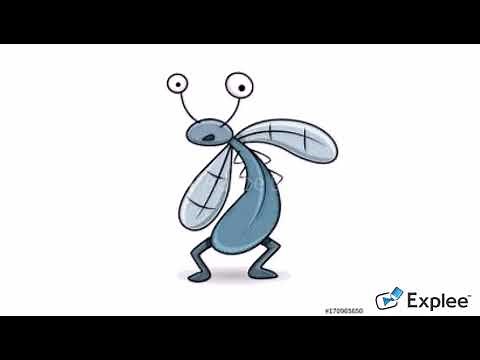 Multiple Meaning Words/Context Clues