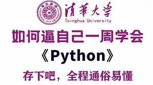【整整249集】这绝对是2025年B站最全最细的Python零基础全套教程，小白逼自己一周学完，拿回属于你的力量！全程通俗易懂，学不会我退出IT圈！!
