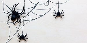 If You Keep Seeing Spiders In Your Home, Here's How To Get Rid Of Them