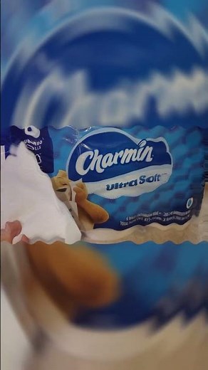 Upgrade Your Bathroom with Charmin Ultra Soft Bathroom Tissue - 6 Jumbo Rolls
