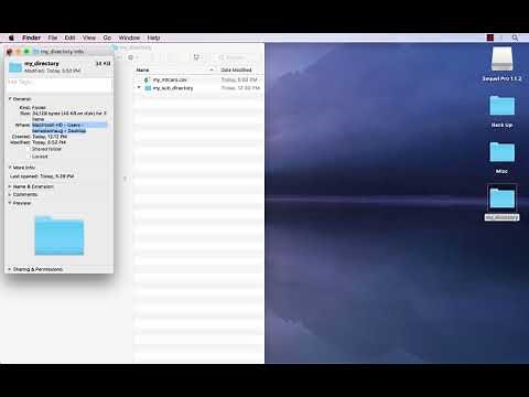 Working directory (R Tidyverse)