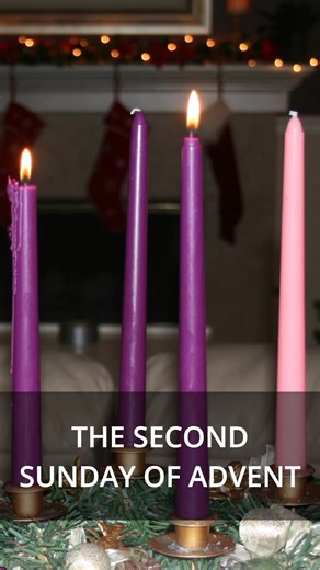 Continuing with our Advent series, we reflect on a reading from the Second Sunday of Advent: Isaiah 11 On that day, a shoot shall sprout from the stump of Jesse, and from his roots a bud shall blossom. The spirit of the LORD shall rest upon him: a spirit of wisdom and of understanding, a spirit of counsel and of strength, a spirit of knowledge and of fear of the LORD, and his delight shall be the fear of the LORD…. #isaiah11 #catholicism #catholicfaith #catholic #isaiah #advent #liturgy #christm