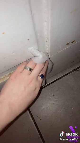 Cleaning a messy house on TikTok