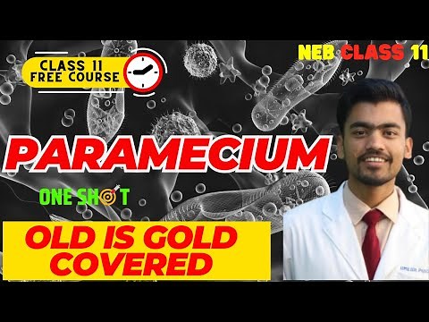 Paramecium and its Reproduction In One Shot🔥| Grade 11 Biology in Nepali | Zoology Important Chapter