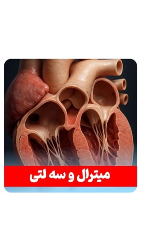 ‎انیمیشن سه بعدی جذابِ زیست و پزشکی🫀‎ on Instagram‎: "فهمیدی؟😁اینجا زیست رو درک میکنی 🎯 #قلب #کنکور #تجربی #زیست #زیست_کنکور"‎