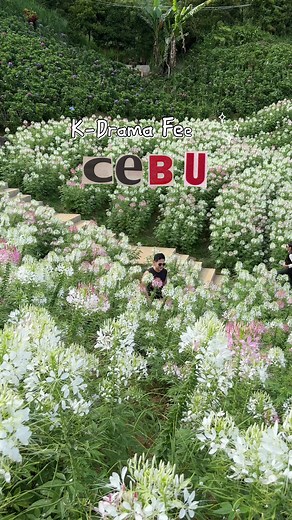 Exploring Cebu's Stunning Flower Gardens and Scenic Night Lights
