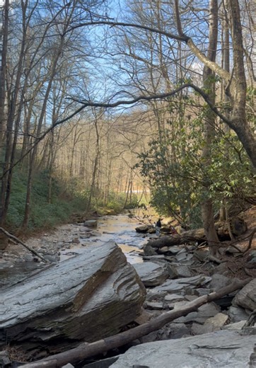 Looking Glass Falls NC waterfall guide