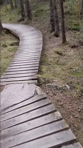 Dette var den villeste sykkelbrua jeg har kjørt over!