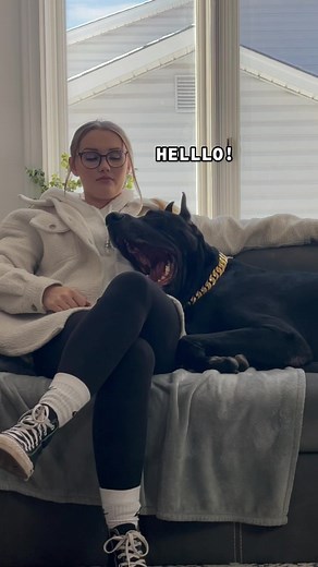 Sitting with Zeus: A Cozy Moment on the Couch