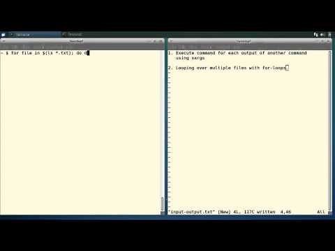 How to repeat commands on the linux terminal using xargs and for loops