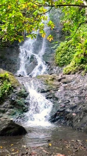 Oahu Waterfall Hikes #hawaii #travel #hiking
