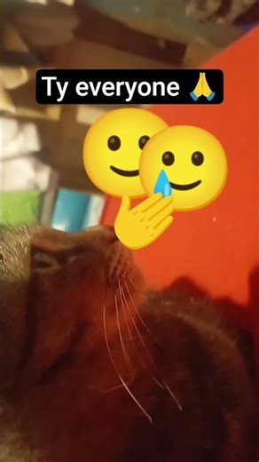 can we hit 40 subscribers