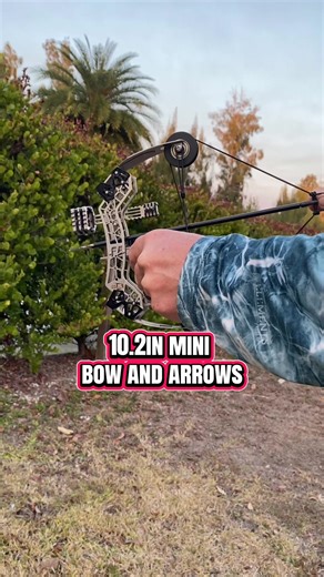 Quality fun. #bow #bowandarrow #minibow #minibowandarrow #sports