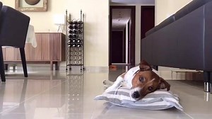 It's too much hot outside, so all I wanna do today is relax🌞🌞🌞!!! | Boricasso