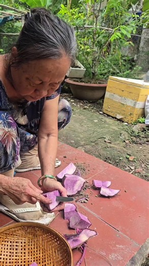 Cách ươm và trồng khoai mỡ trong vườn tại nhà