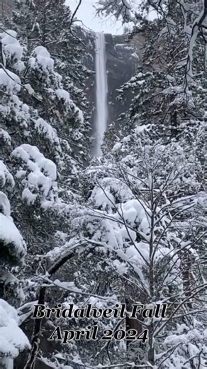 When people ask what Yosemite will look like in March or April I like to show them this video. The same spot, the same day, exactly one year apart—the spring weather can be unpredictable in Yosemite so plan accordingly. 📍Bridalveil Fall, Yosemite Would you visit this park in the snow?❄️ #yosemite #waterfall #YosemiteNationalPark | Flyingdawnmarie