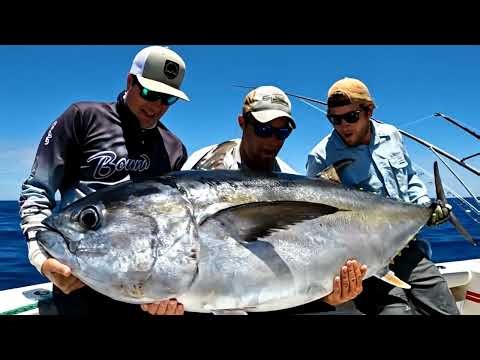 THREE FISHERMEN JUST LANDED THE BIGGEST TUNA OF THEIR LIVES#Tuna#Fishing