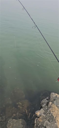 Take a look at this fish. Is there a problem with the line? It's loose; the fish almost got away.
