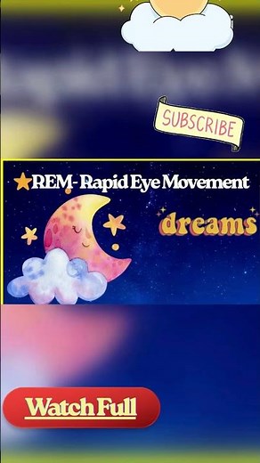 “What Is REM Sleep? 😴 | Dream Time!”