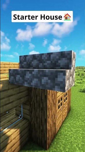 Minecraft Starter House🏠 #shorts