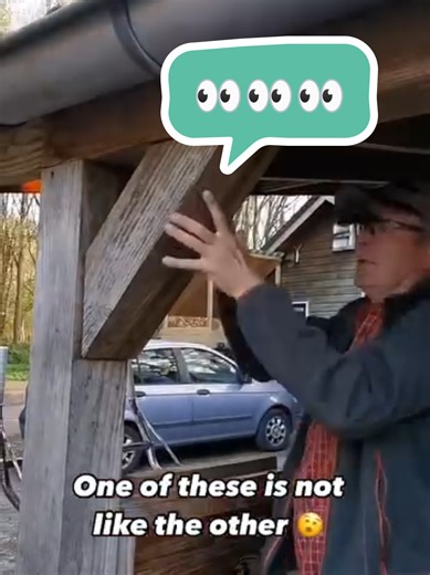 Joyful Geocache Discovery and Risky Adventures