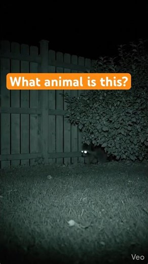 Camera recorded this at 3:12 AM… #archivefootage #scary