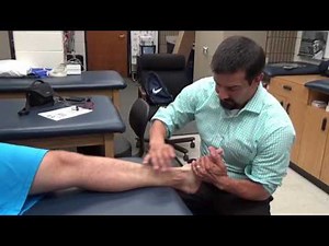 Tibialis posterior and anterior