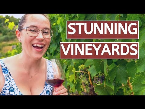 THE BEST TUSCANY WINE TOUR FROM FLORENCE ITALY // Brunello di Montalcino